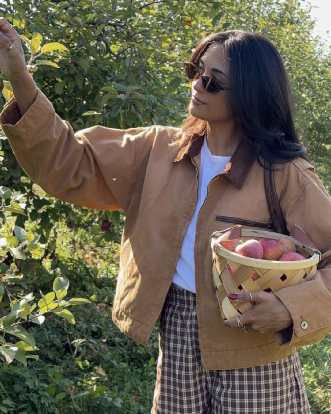 A woman in sunglasses and a brown canvas chore jacket picking apples in an orchard, holding a woven basket filled with red apples.